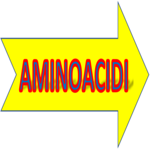 Amminoacidi